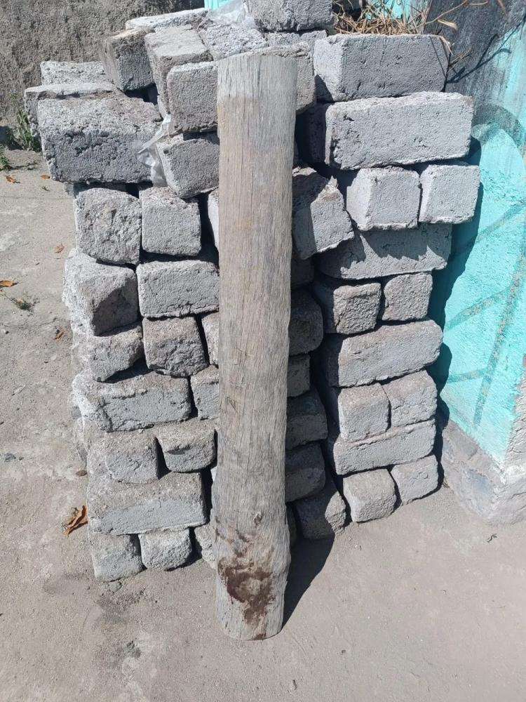 Foto: Divulgação Internet