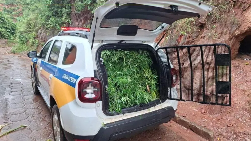 Foto: Divulgação PMMG